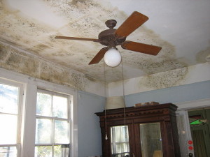 Mold in home Kissimmee